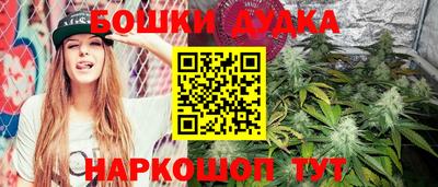 дживик Лесосибирск
