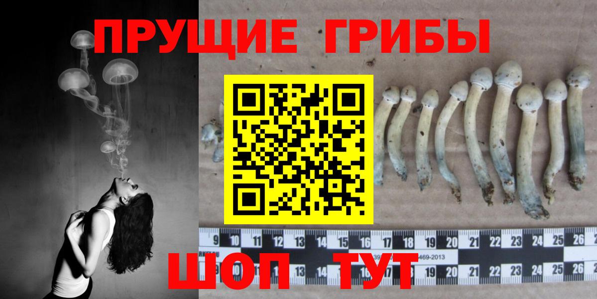Псилоцибиновые грибы GOLDEN TEACHER  Галлюциногенные грибы ЛСД  Волжск  Вход с VPN 